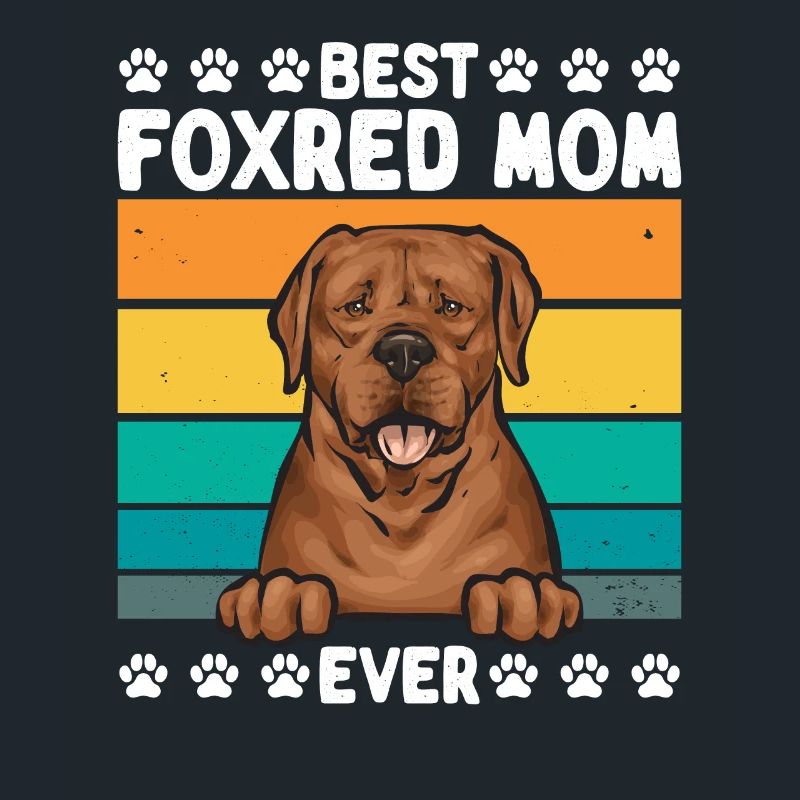 Fuchsroter Labrador Retriever Fox Red Labrador
