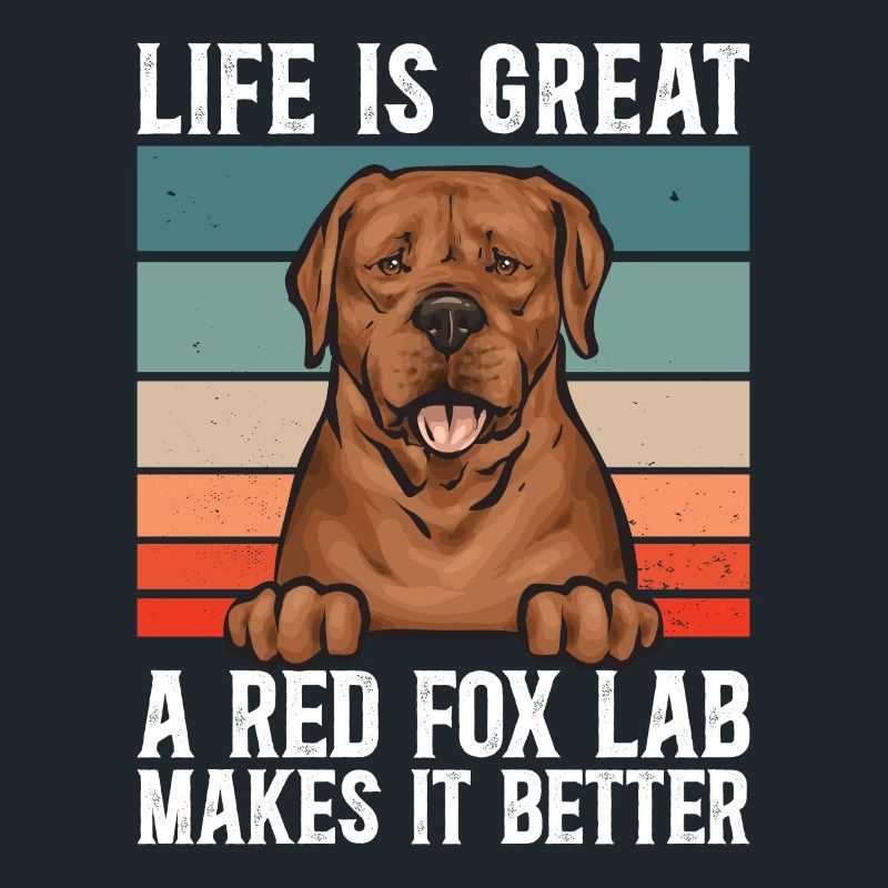Fuchsroter Labrador Retriever Fox Red Labrador