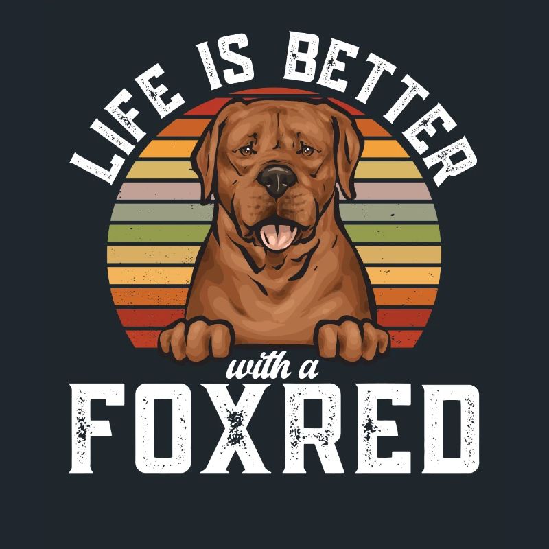 Fuchsroter Labrador Retriever Fox Red Labrador