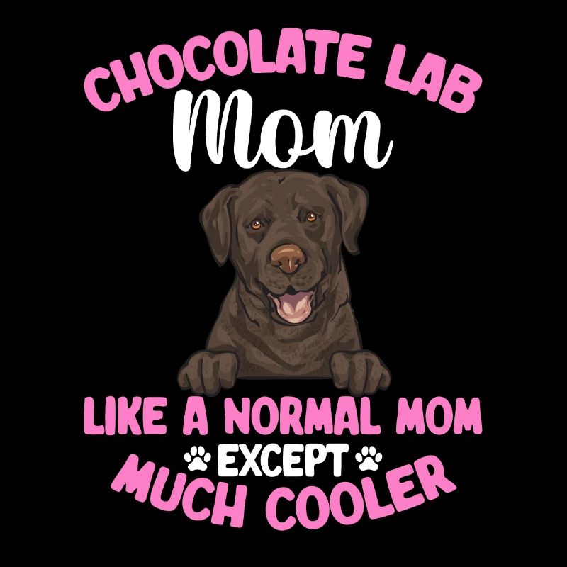 Chien Labrador Retriever brun chocolat