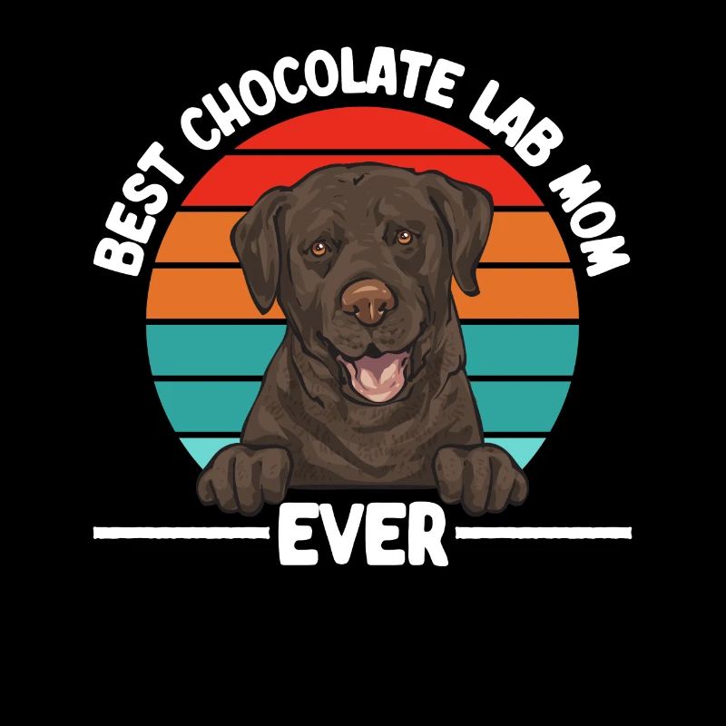 Schoko Brauner Labrador Retriever Hund