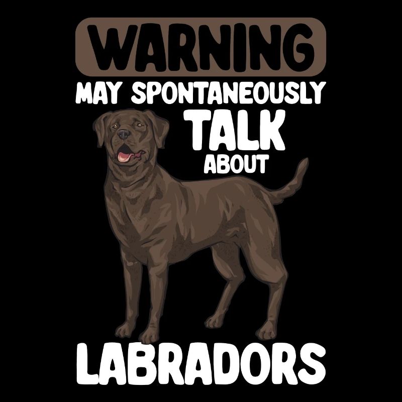 Schoko Brauner Labrador Retriever Hund