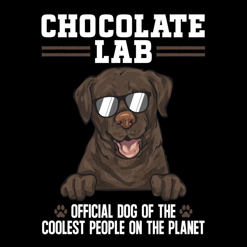 Schoko Brauner Labrador Retriever Hund