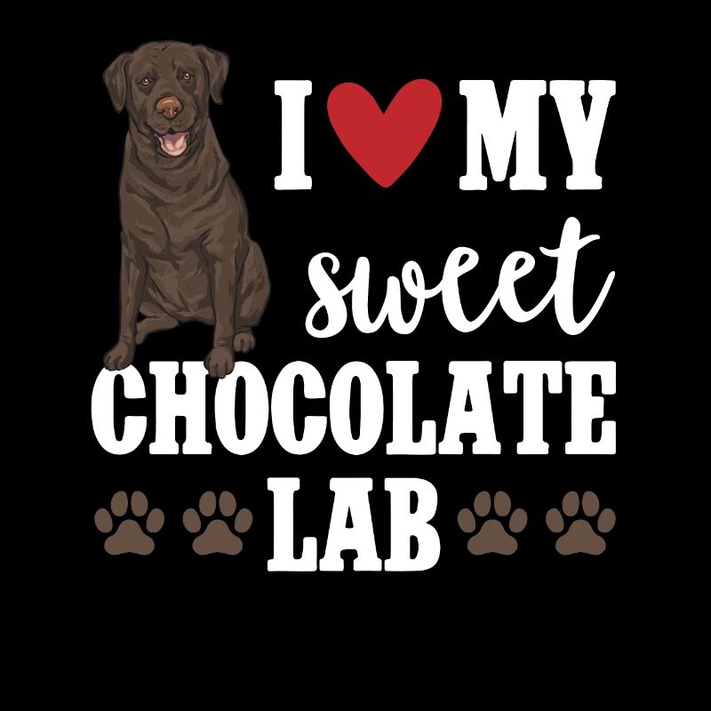 Schoko Brauner Labrador Retriever Hund