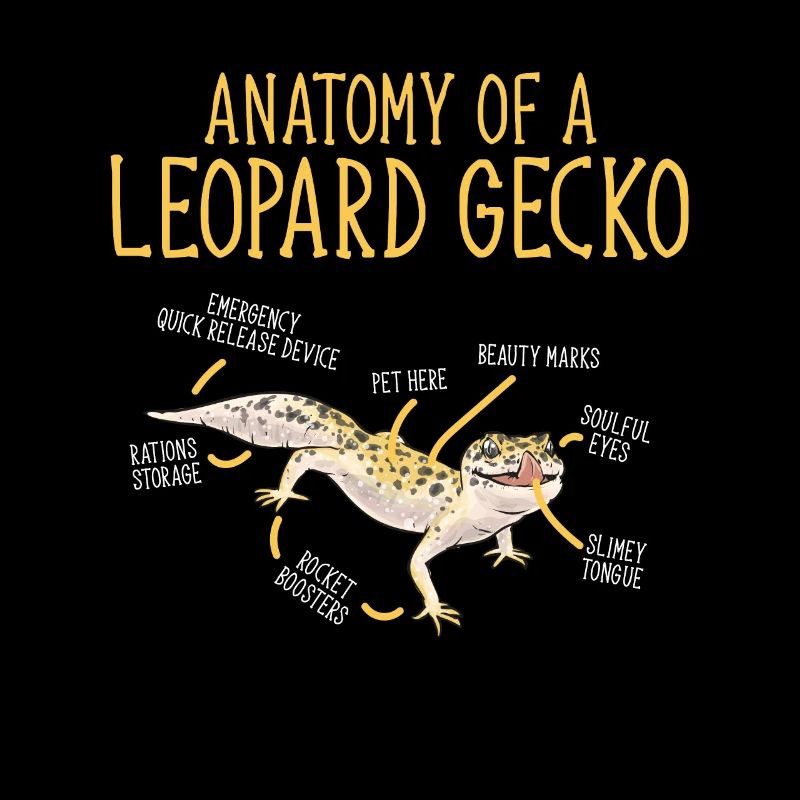 Gecko léopard Gecko reptile gecko de compagnie