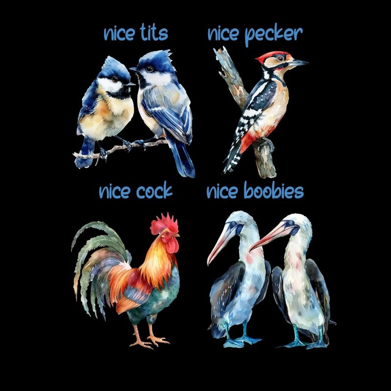 Funny birds named Nice birds