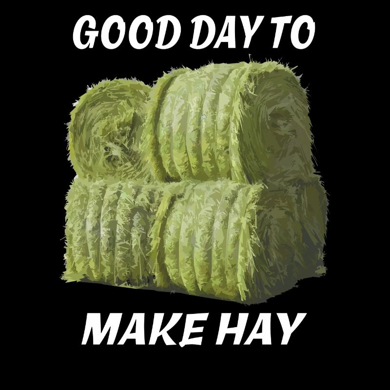 GOOD DAY TO MAKE HAY