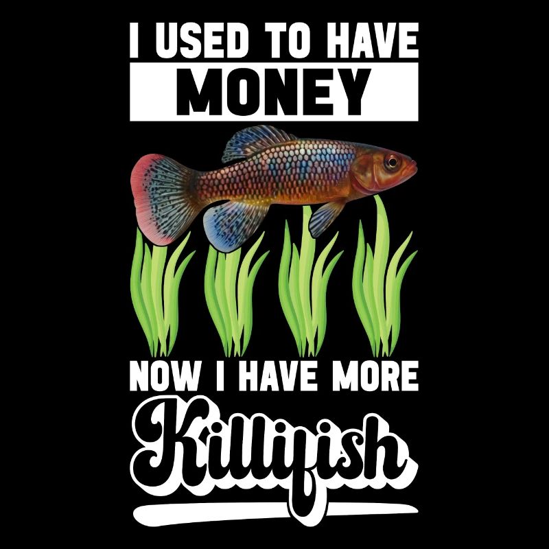Killifish Quarium Fish
