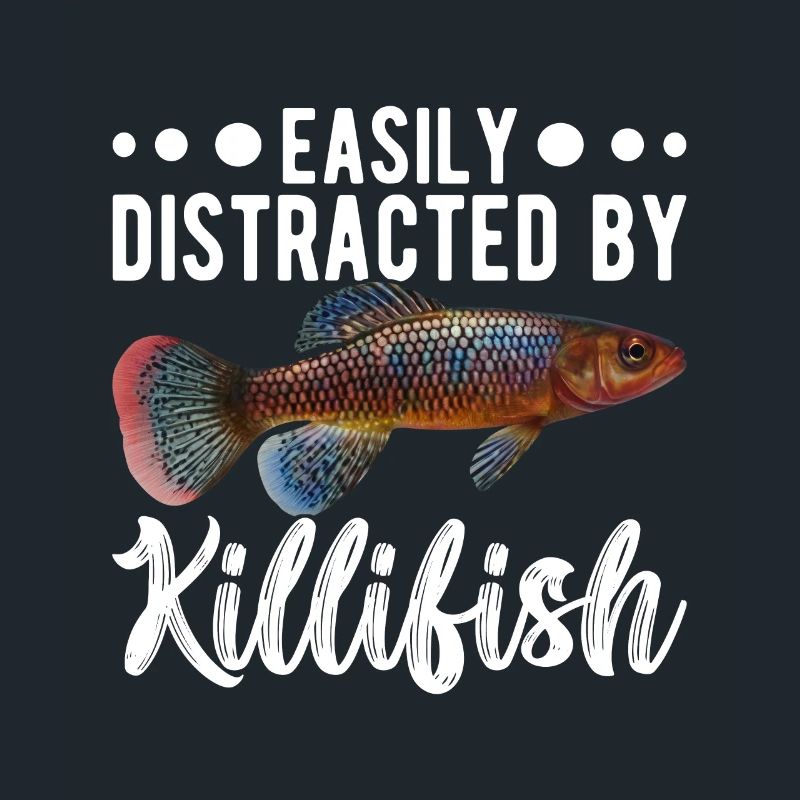 Killifish Quarium Fish