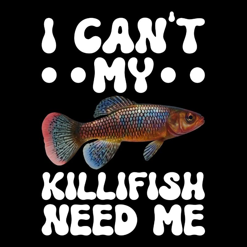 Killifish Quarium Fish