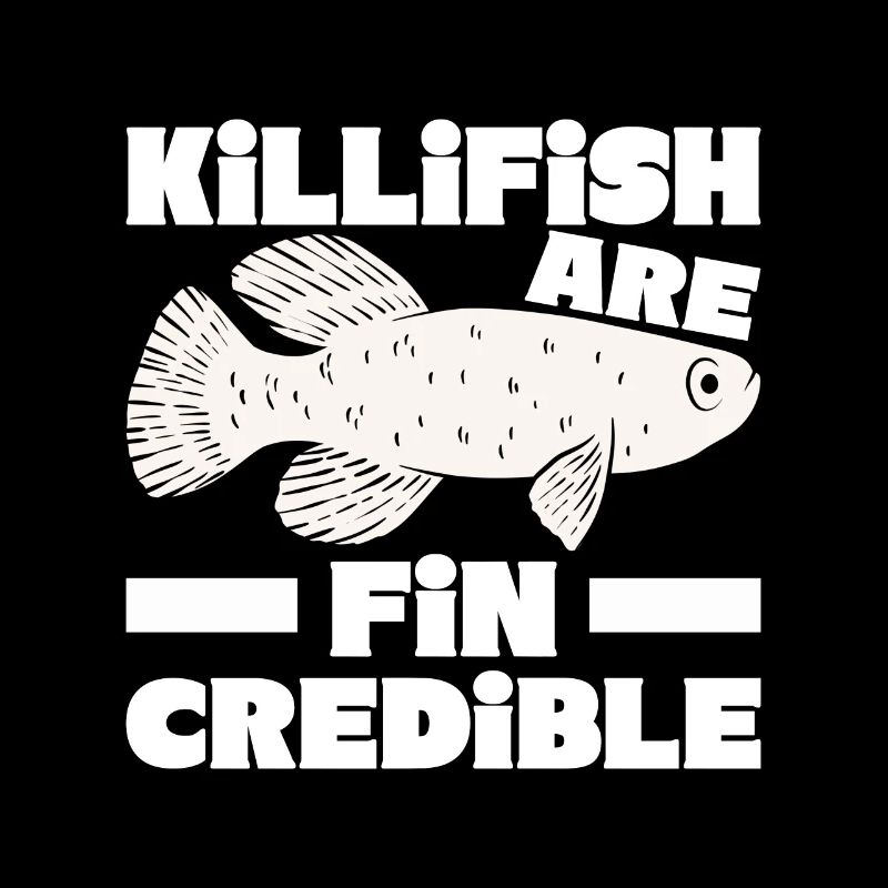 Killifish Quarium Fish