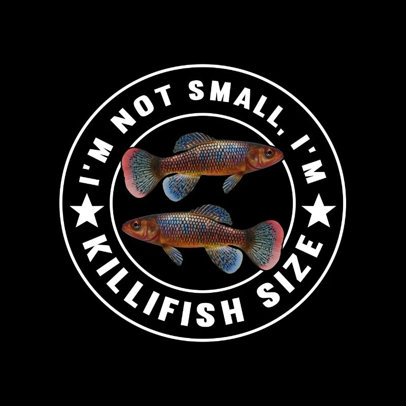 Killifish Quarium Fish