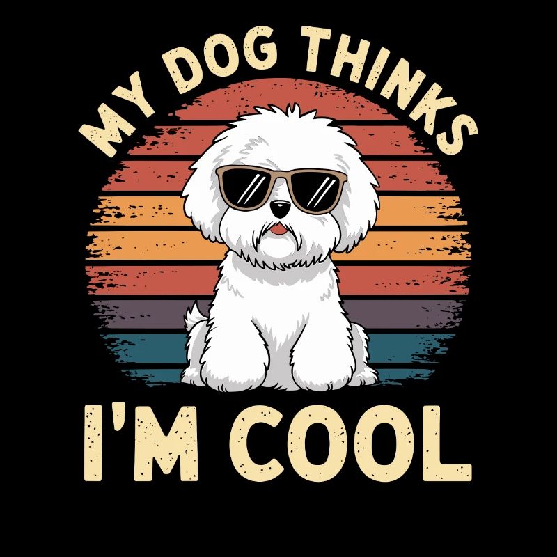 Bichon Frise My dog thinks I'm cool