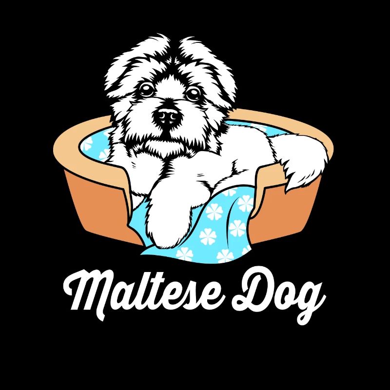 Chien maltais