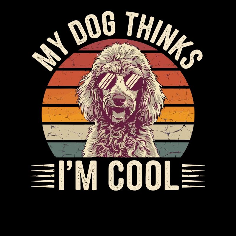 Caniche mon chien pense que je suis cool
