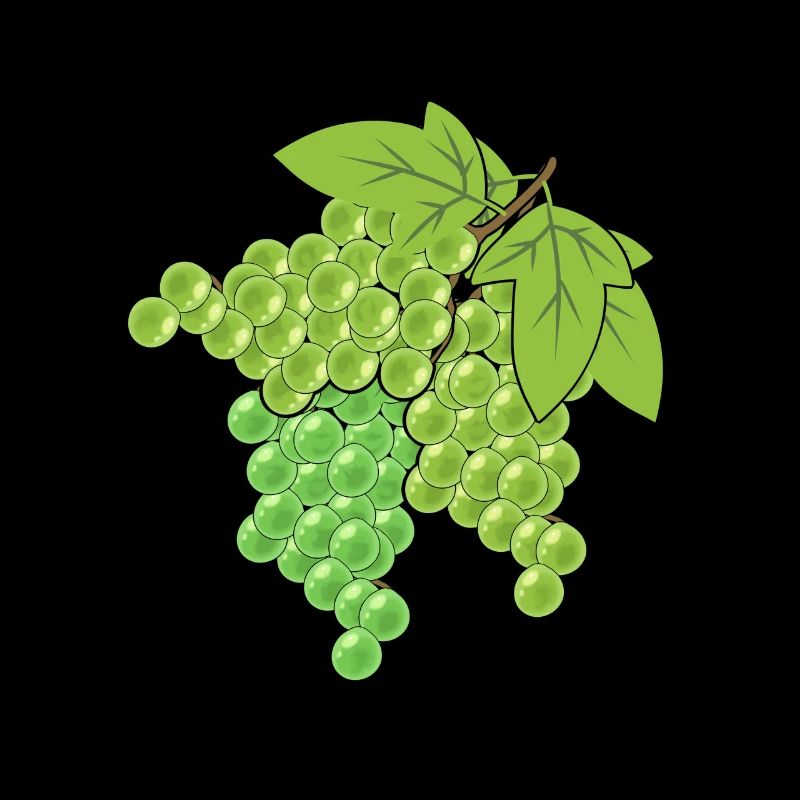 Grapes Grapes Grapes Vine Garden