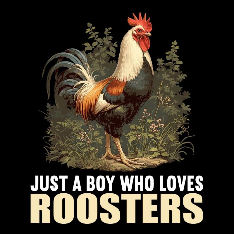 Rooster Roosters Rooster