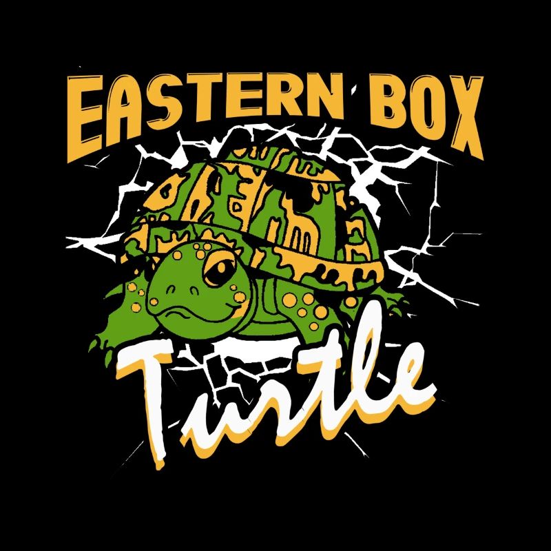 Eastern Box Turtle On Black