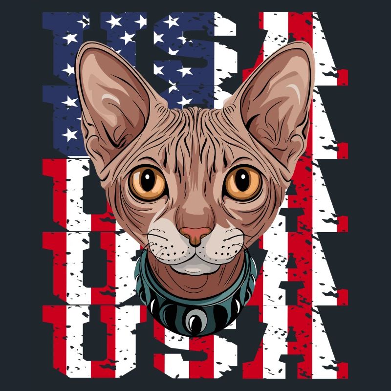 USA Chat Sphynx devant le drapeau