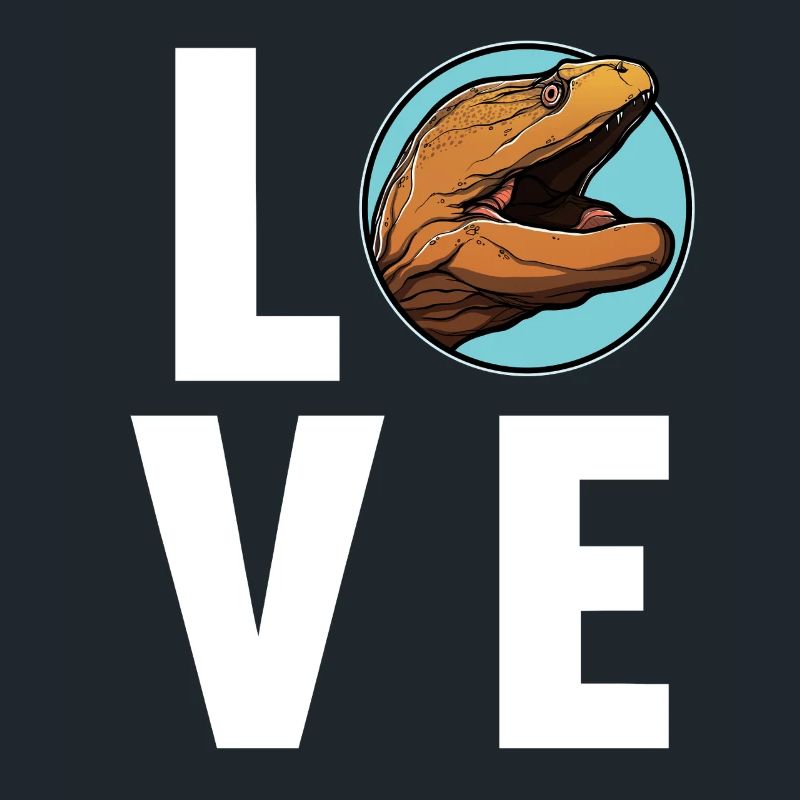 Moray eels Moray eel