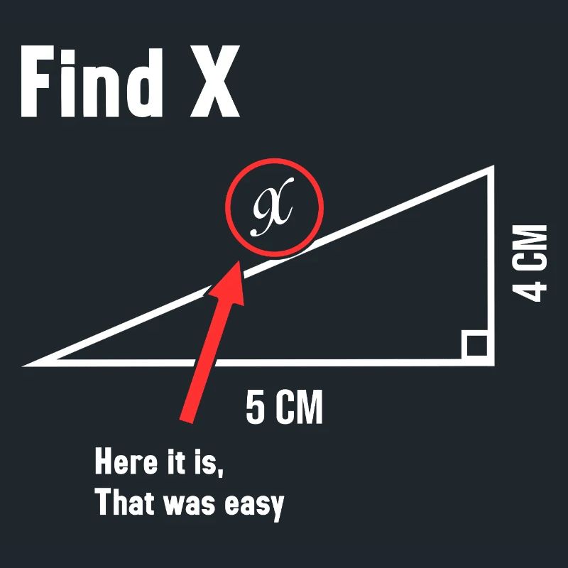 Find X Math Lover Mathematician Math Teacher