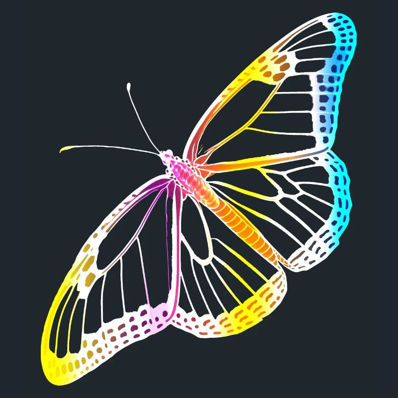 Butterfly Butterfly Monarch Spring Colorful Gift