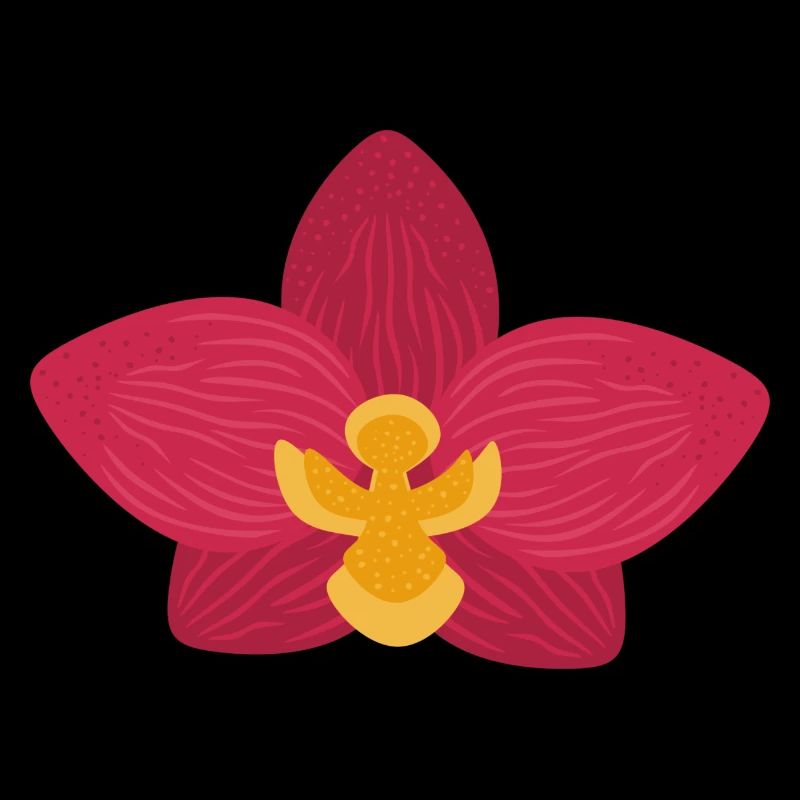 Fleur d’orchidée