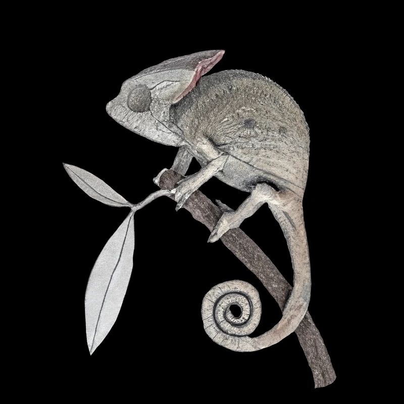 Chameleon 3 concrete