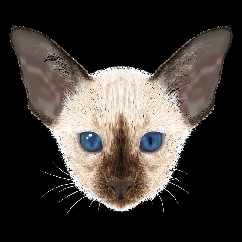 Siamkatze 