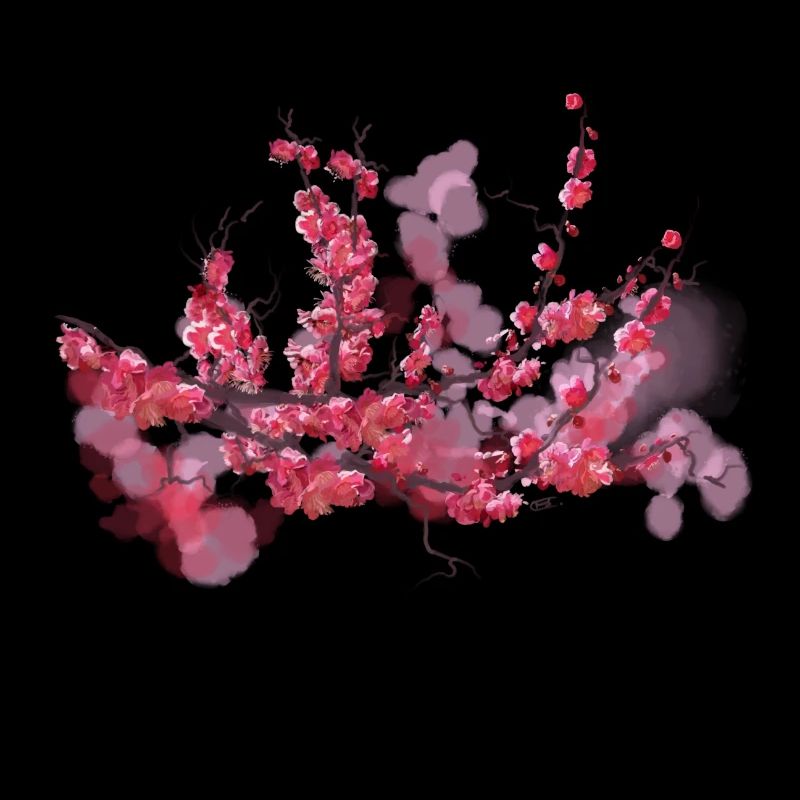 sakura
