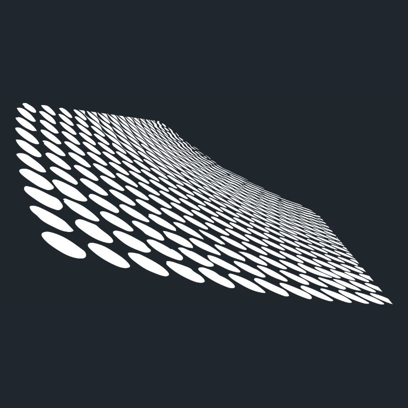 Geometric points on curved horizon surface