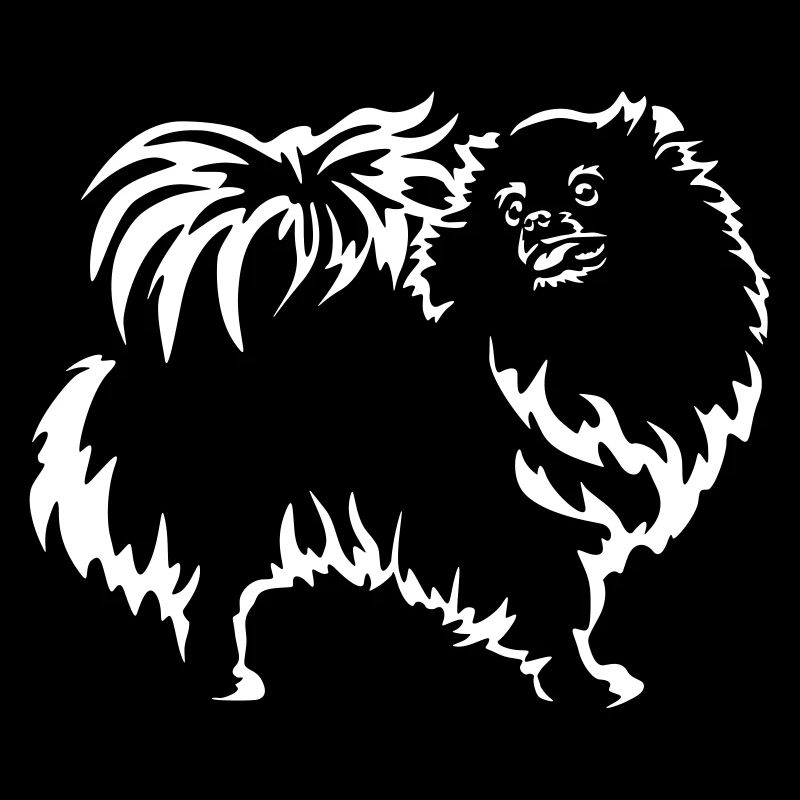 Zwergspitz Black Edition"