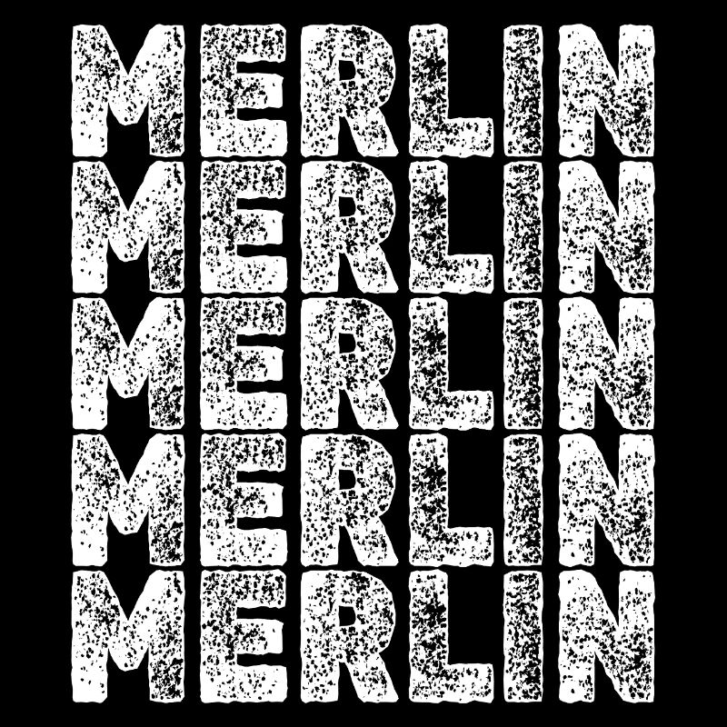 Held Merlin