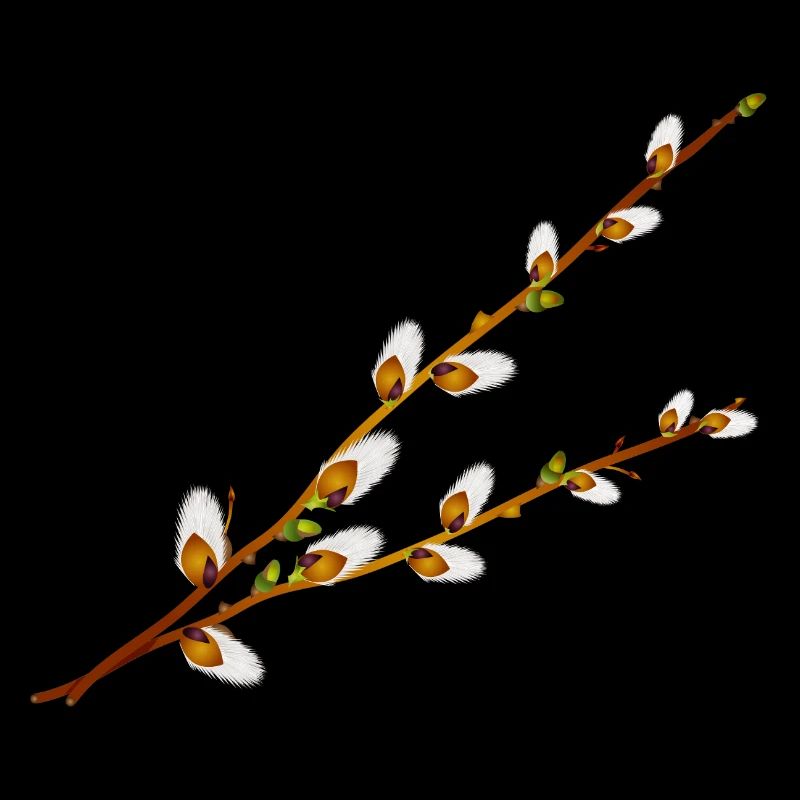 Branches délicates de manche de palmier – Motif printanier