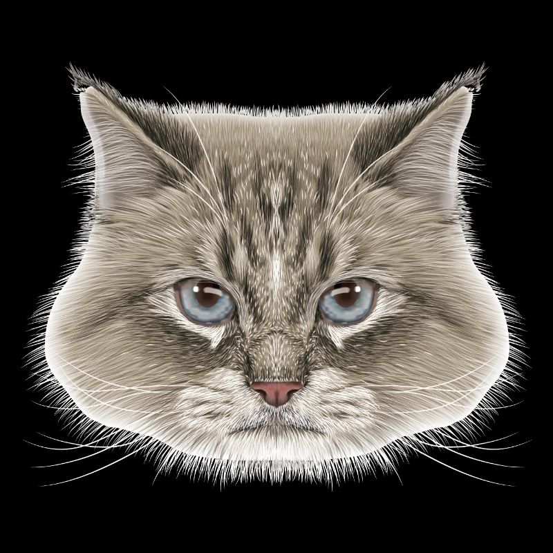Sibirische Katze 