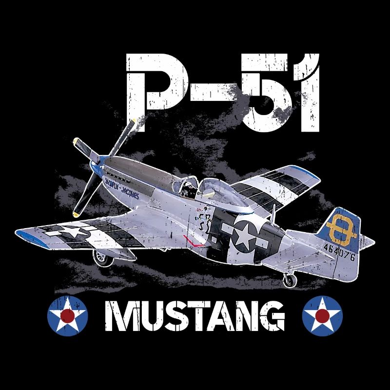 P 51 Kampfflugzeug Grafik