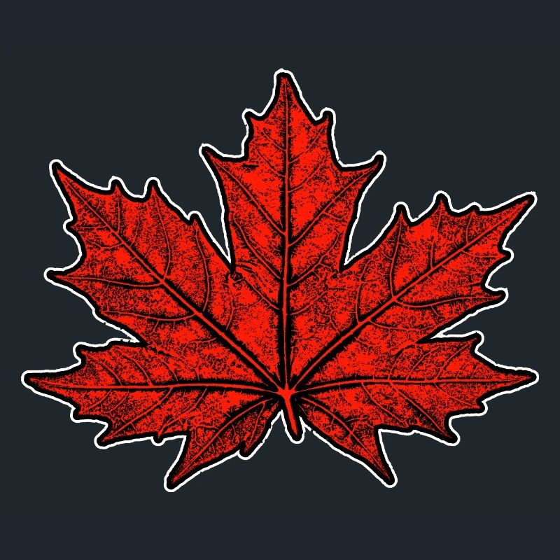 Maple / Leaf