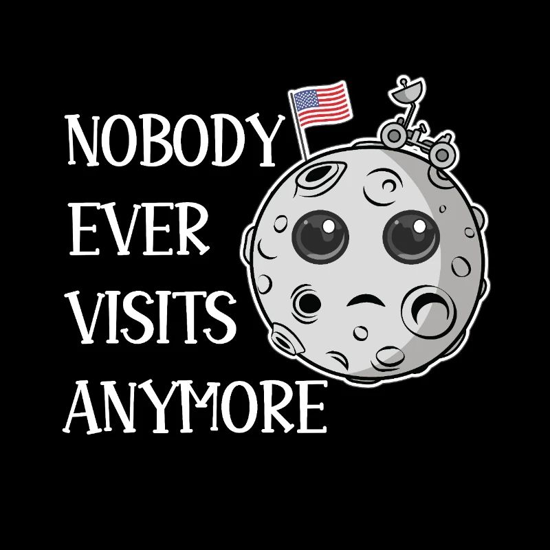 Moon Landing Nobody Ever Visits Anymore