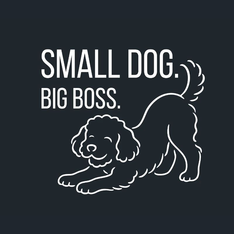 Zwergpudel, Malti-poo oder Königspudel 