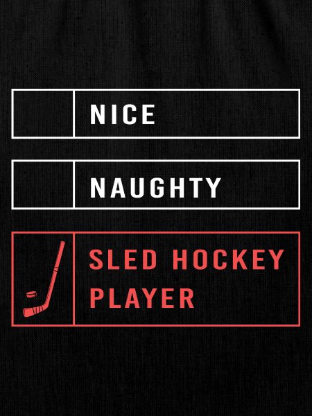 Para Handicap Eishockey