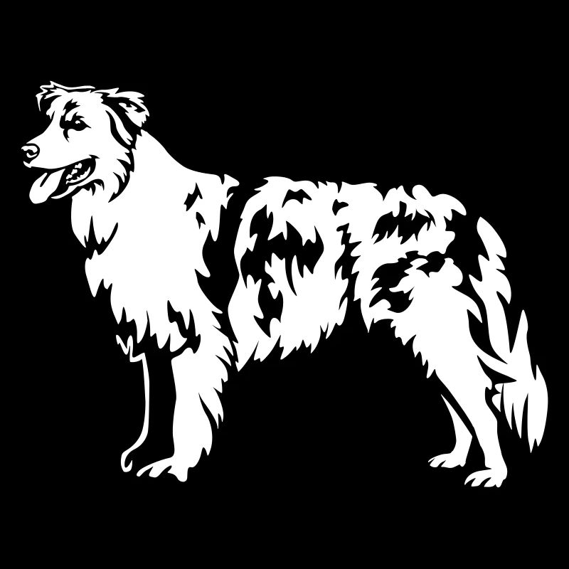 Australian Shepherd "Black Edition"