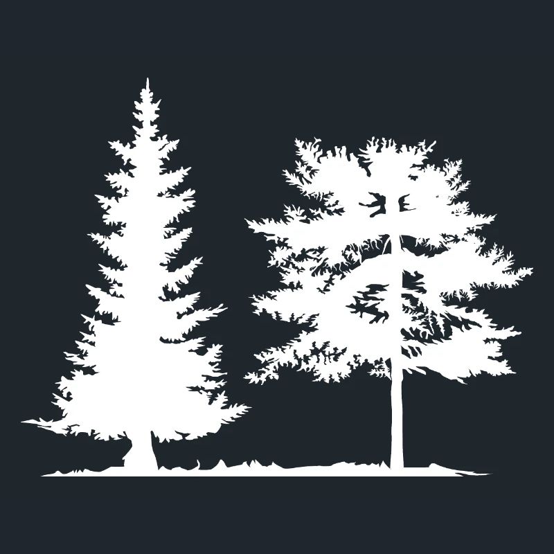 Tree, Spruce, Forest, Camping, Nature, Mixed Forest, Pine
