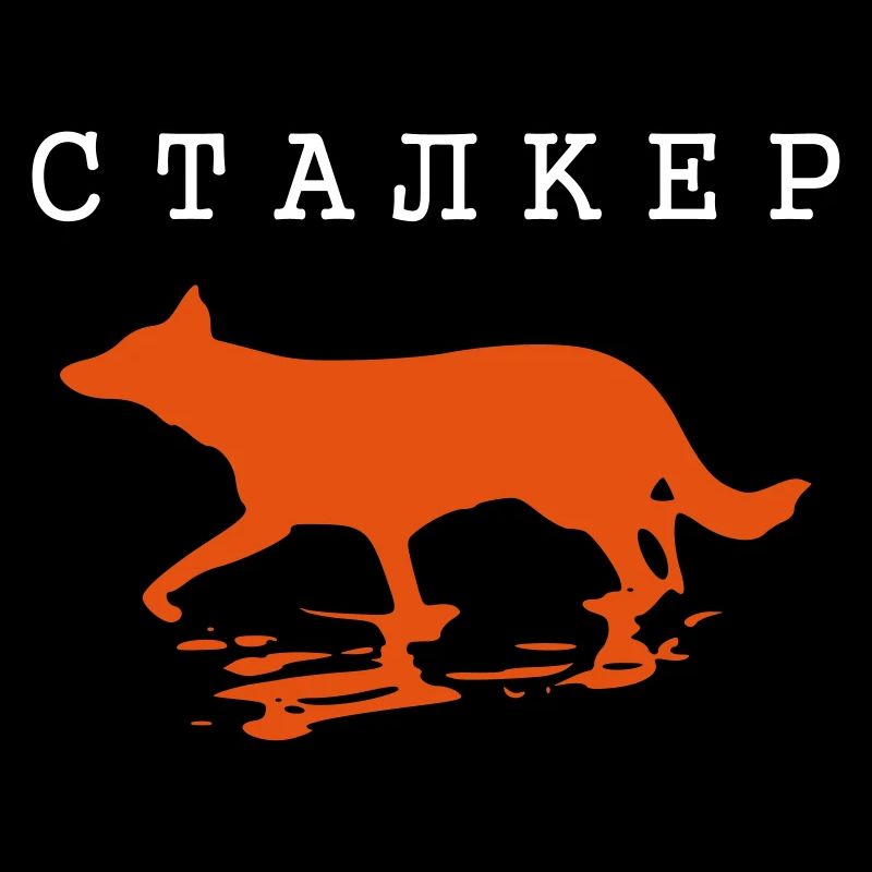 Stalker Tarkovsky