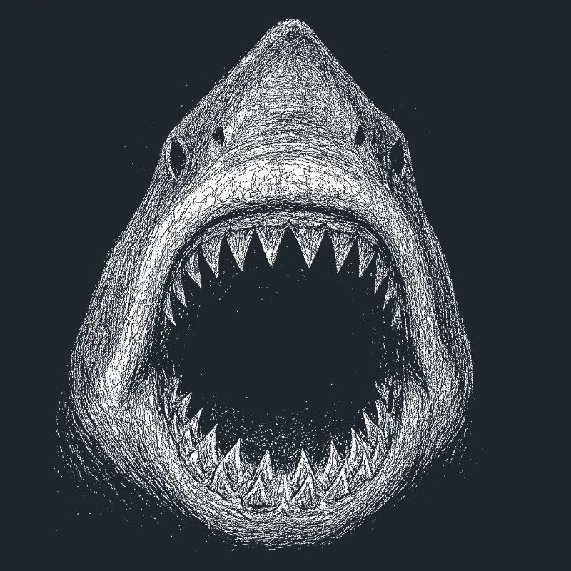 Great white shark