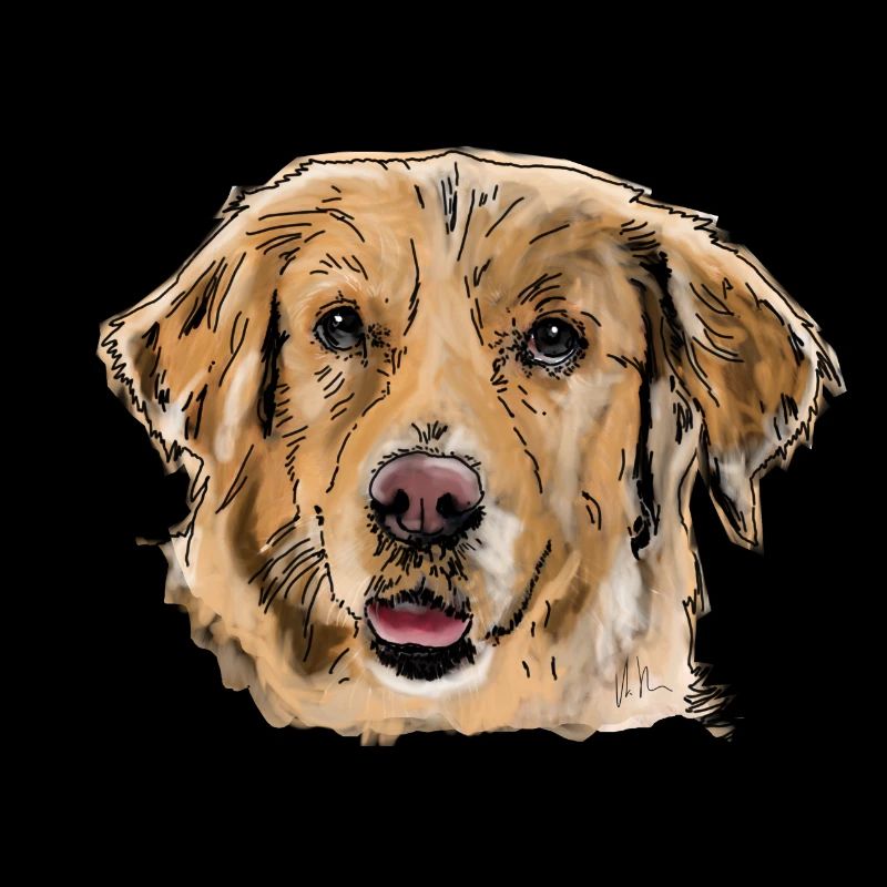 Golden Retrievers