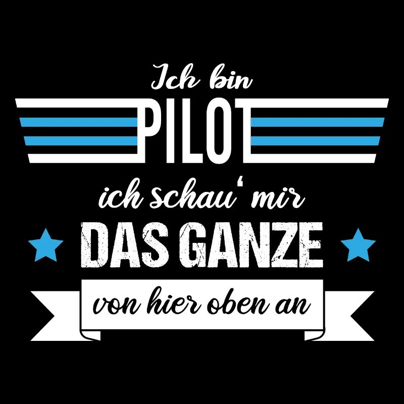 Ich bin Pilot ich schau mir das Ganze von oben an