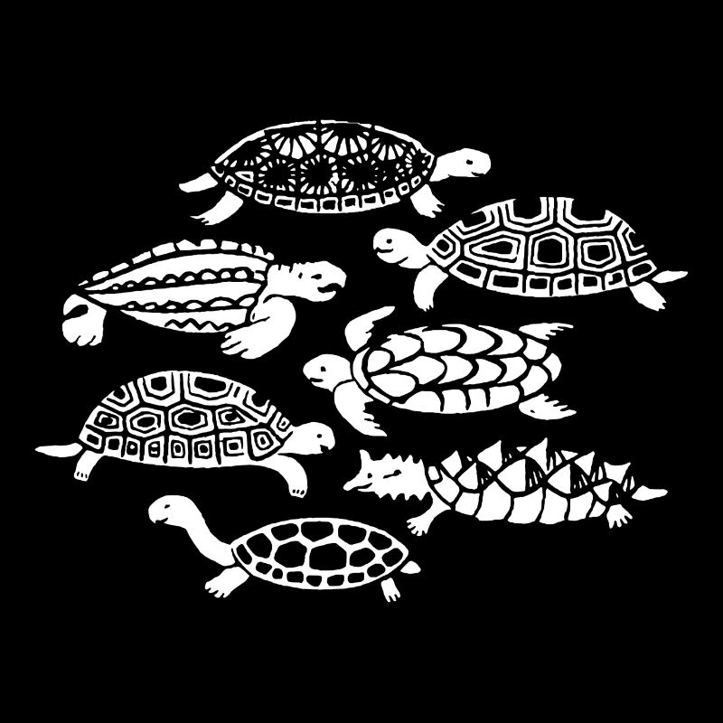 Tortues, Reptiles, Conservation des espèces, Mer, Nature