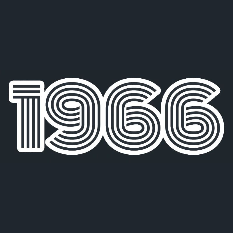 Année de naissance 1966