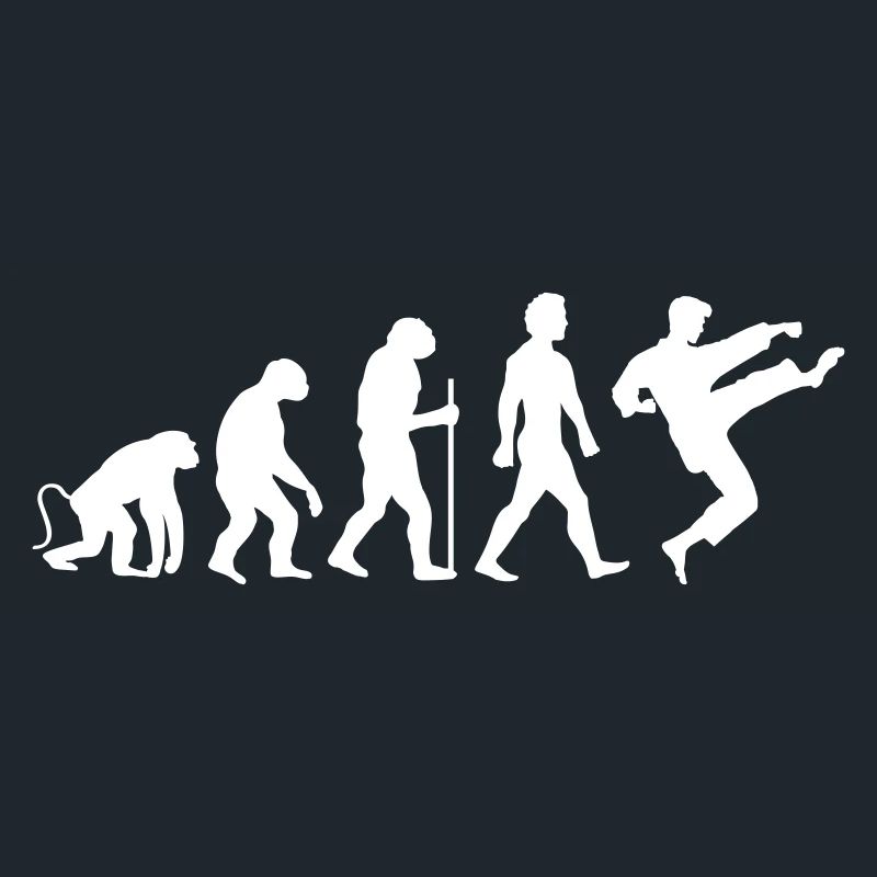 Karate Evolution