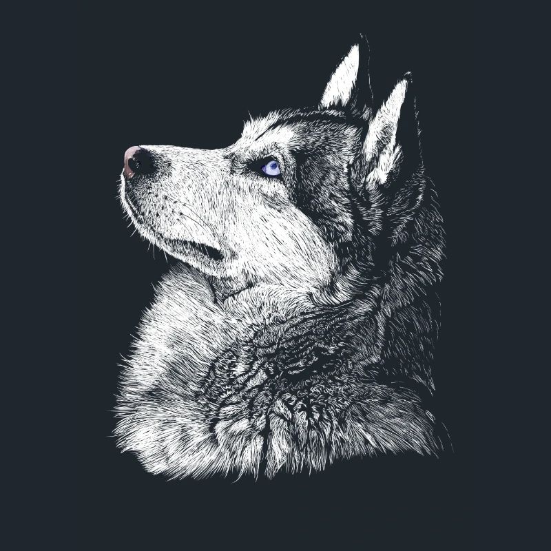 Husky